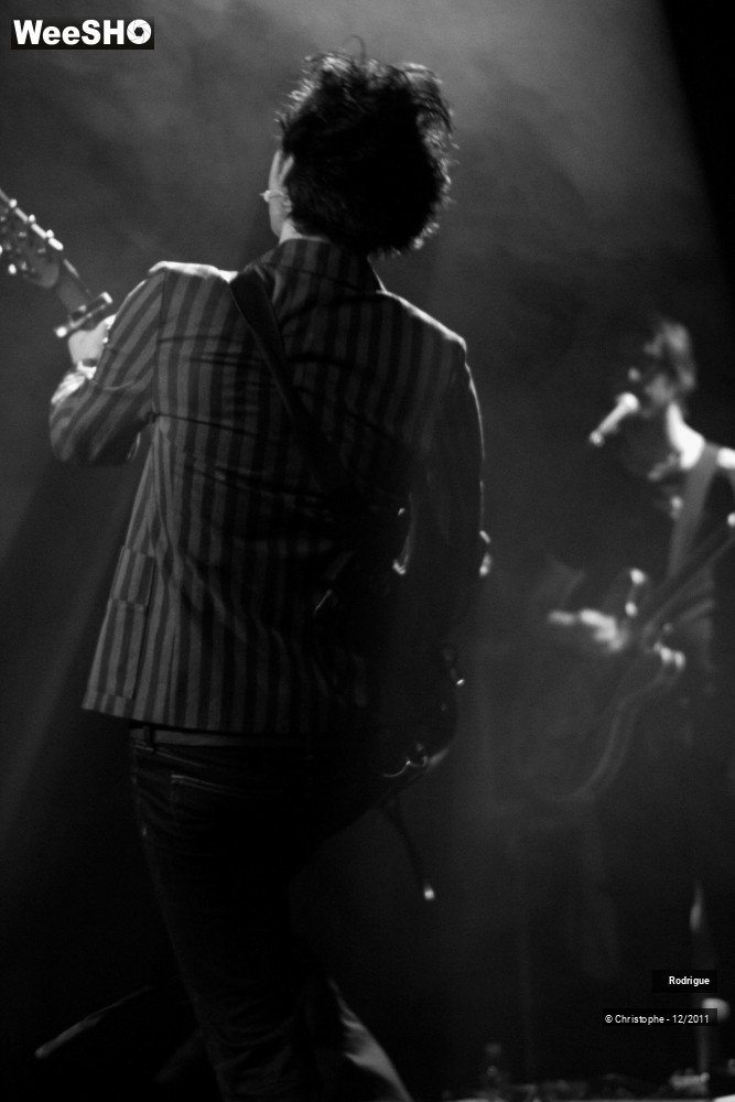 41/41 photos du spectacle Rodrigue