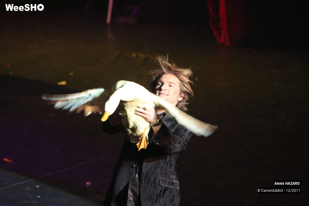 16/49 photos du spectacle Alexis HAZARD