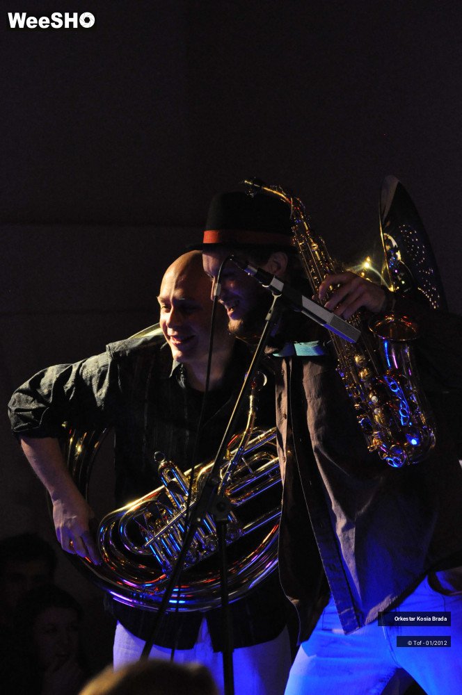 22/41 photos du spectacle Orkestar Kosia Brada