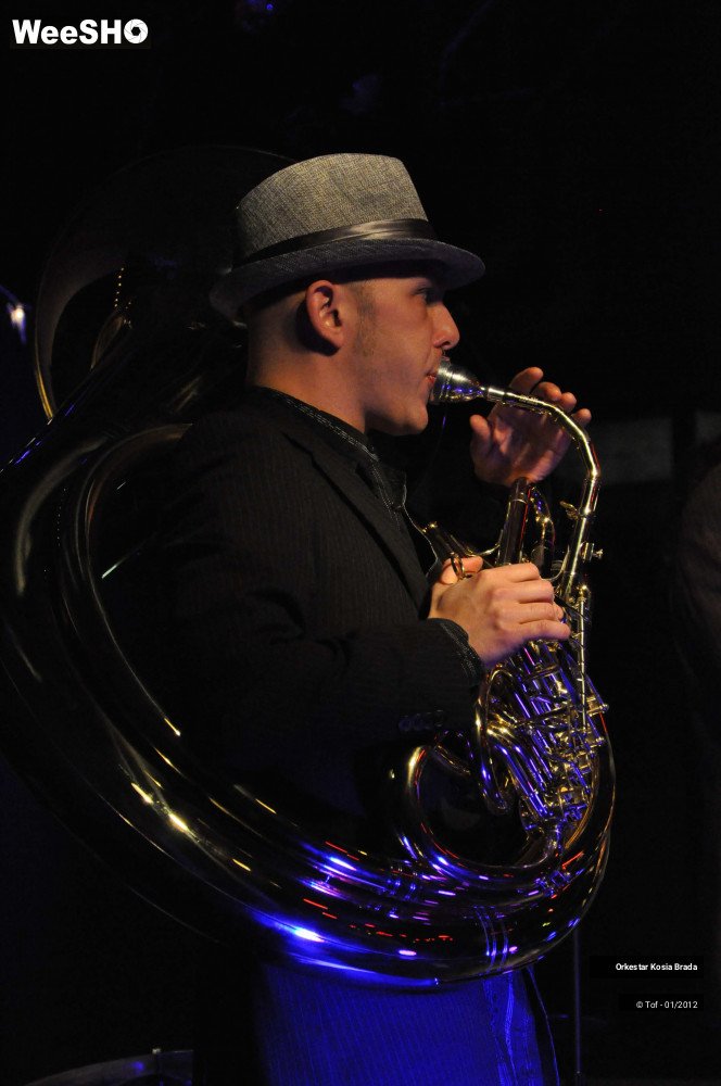 29/41 photos du spectacle Orkestar Kosia Brada