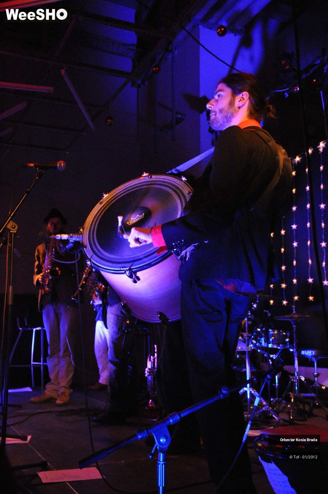 38/41 photos du spectacle Orkestar Kosia Brada