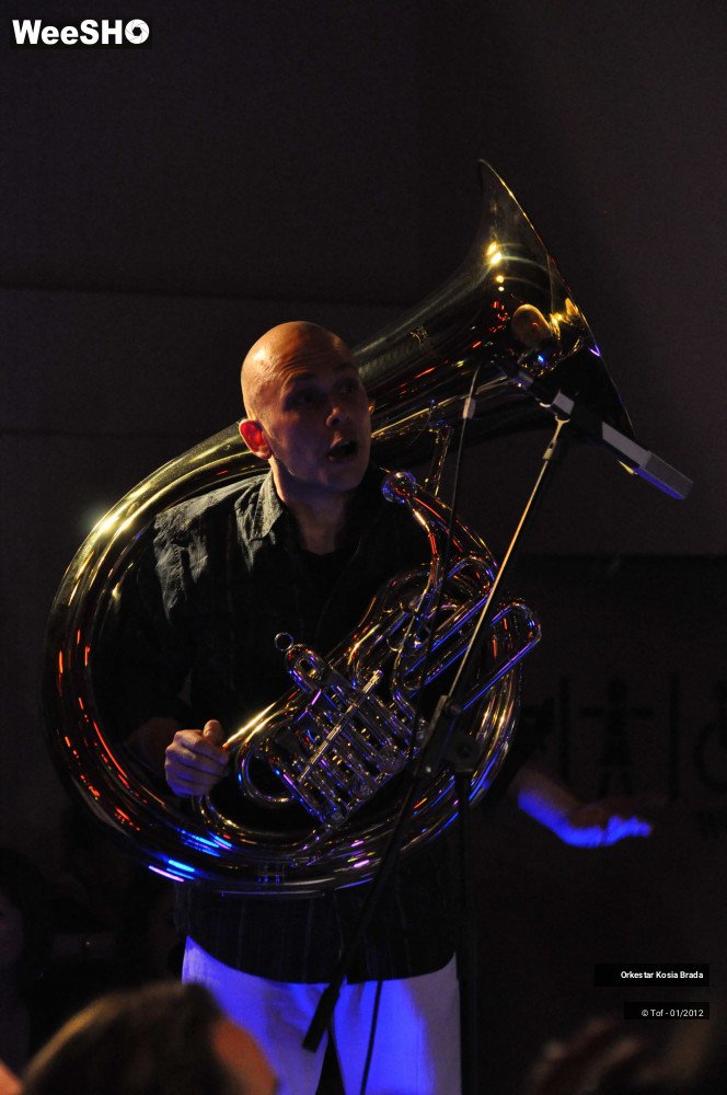 41/41 photos du spectacle Orkestar Kosia Brada