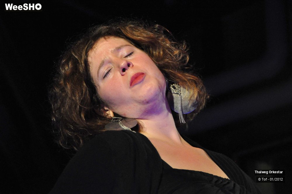 7/39 photos du spectacle Thalweg Orkestar