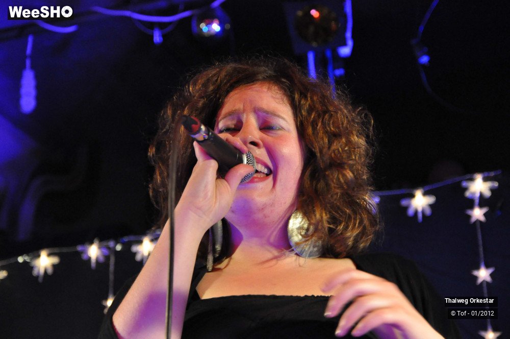 16/39 photos du spectacle Thalweg Orkestar