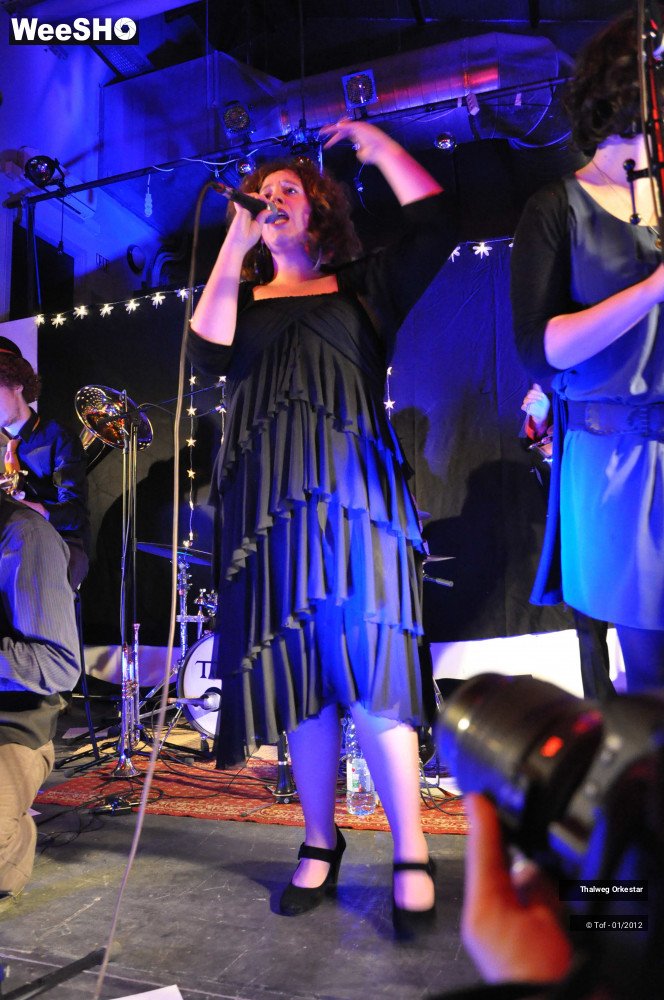 29/39 photos du spectacle Thalweg Orkestar