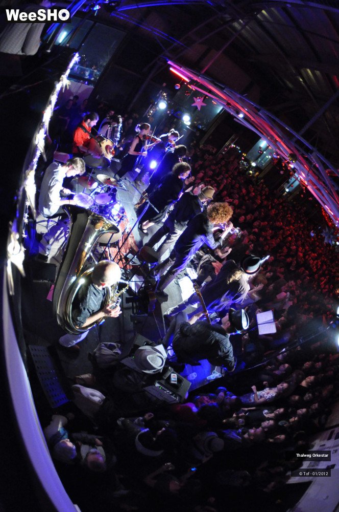 37/39 photos du spectacle Thalweg Orkestar