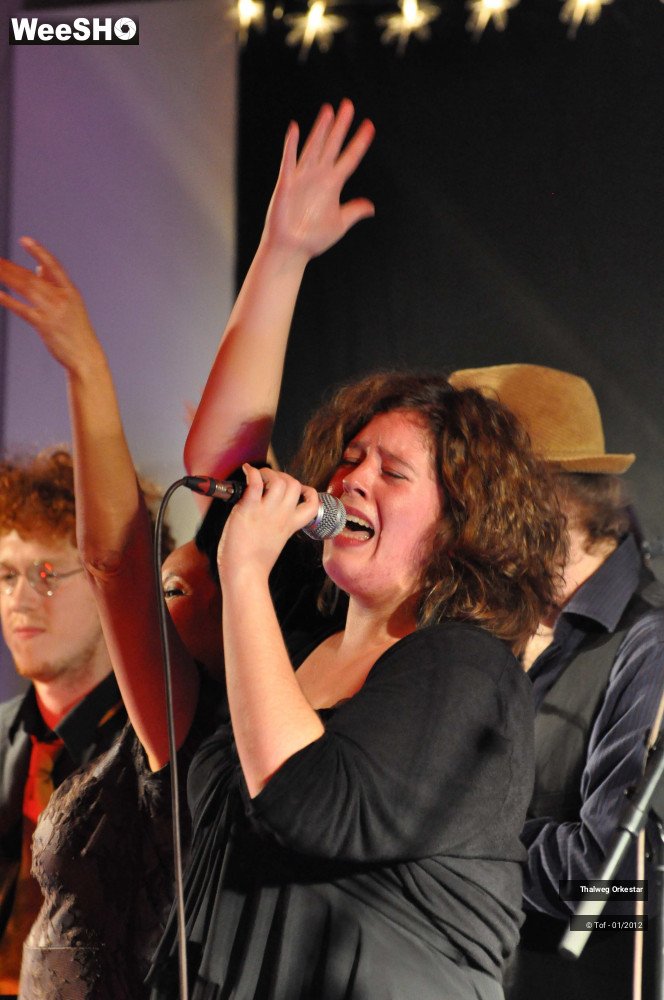 39/39 photos du spectacle Thalweg Orkestar