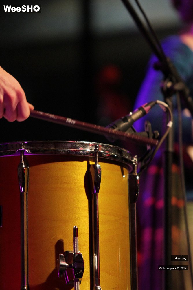 26/42 photos du spectacle June Bug