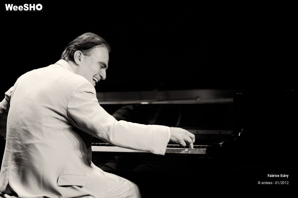 3/33 photos du spectacle Fabrice Eulry et son piano fou