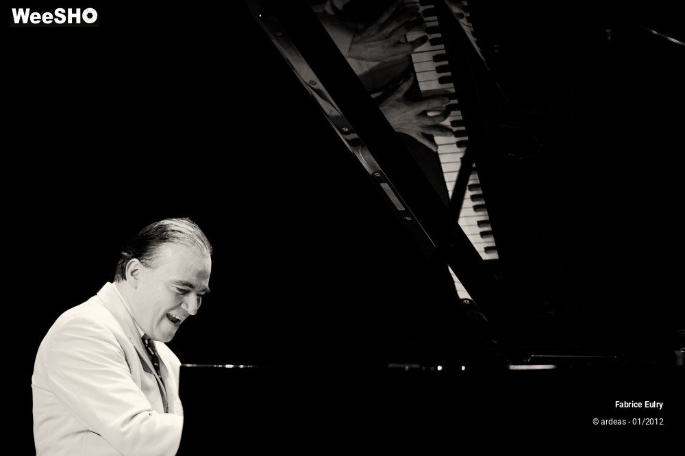 4/33 photos du spectacle Fabrice Eulry et son piano fou