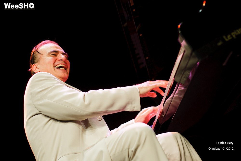 8/33 photos du spectacle Fabrice Eulry et son piano fou