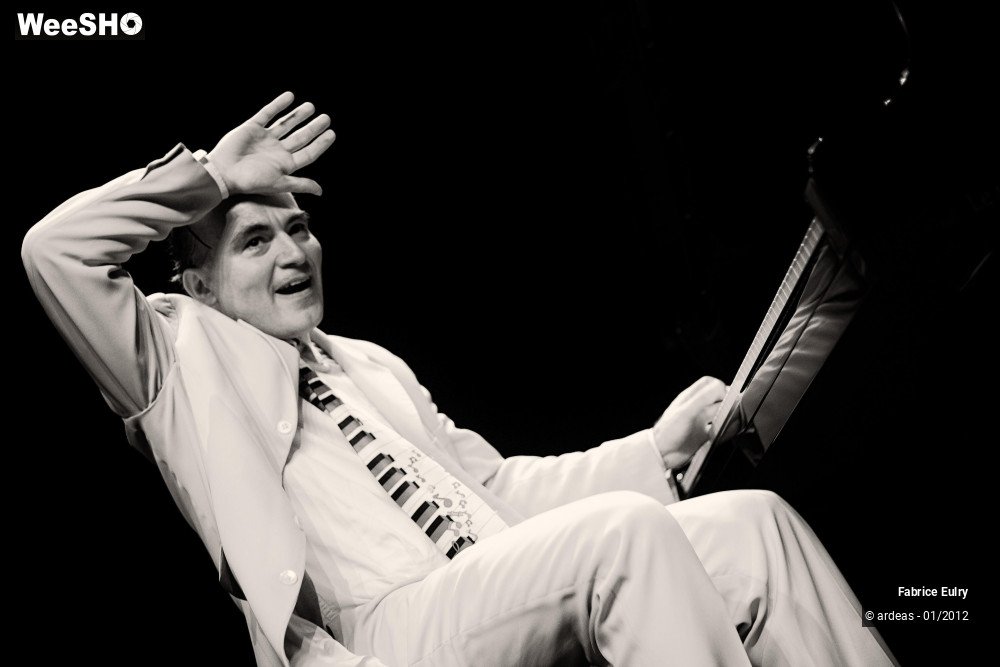 11/33 photos du spectacle Fabrice Eulry et son piano fou