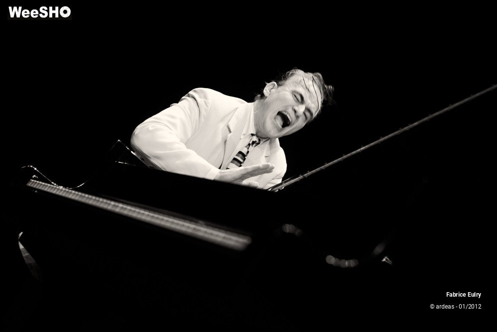 16/33 photos du spectacle Fabrice Eulry et son piano fou