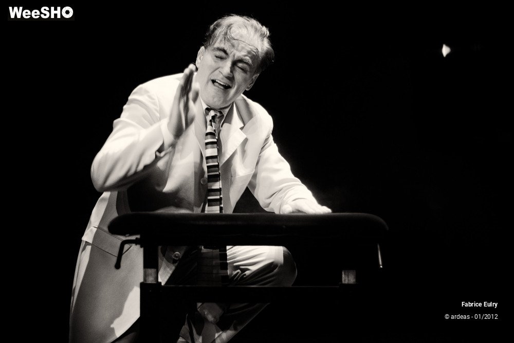 19/33 photos du spectacle Fabrice Eulry et son piano fou