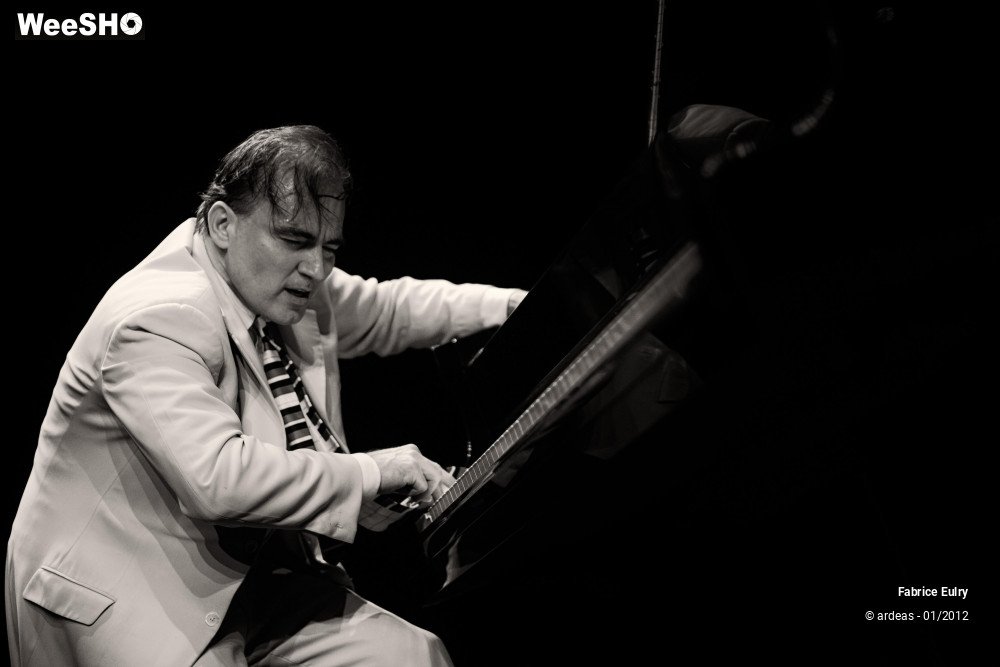 24/33 photos du spectacle Fabrice Eulry et son piano fou