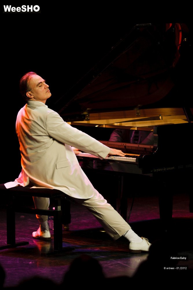 26/33 photos du spectacle Fabrice Eulry et son piano fou
