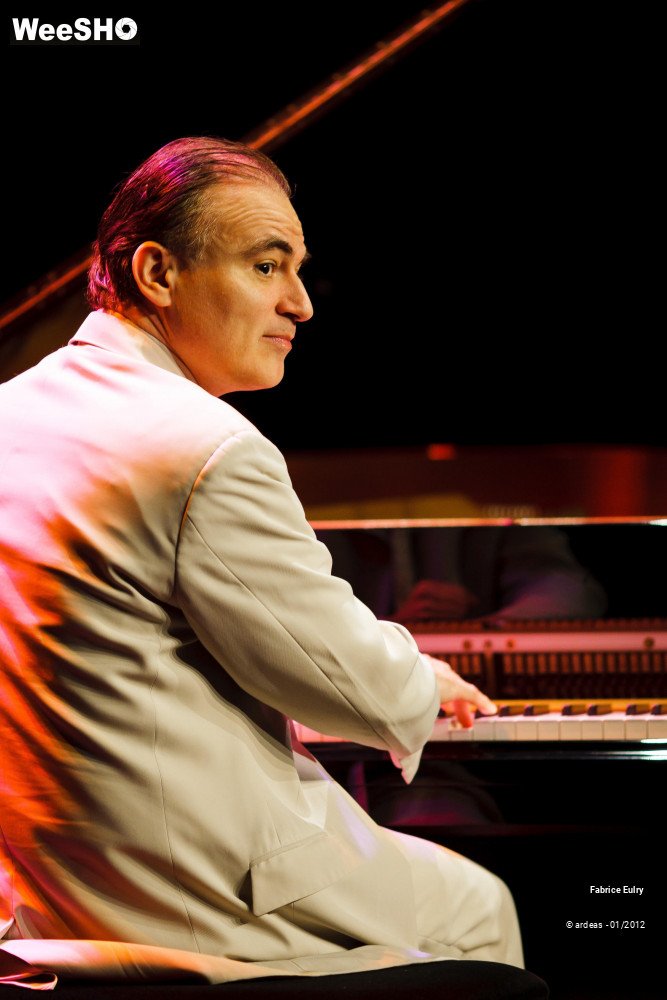 27/33 photos du spectacle Fabrice Eulry et son piano fou