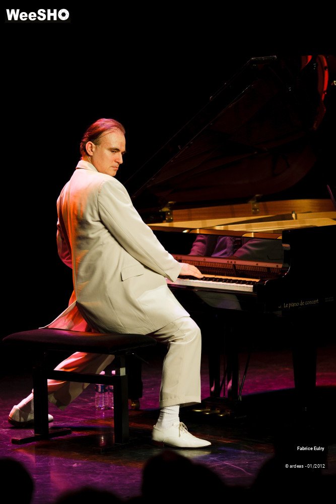 28/33 photos du spectacle Fabrice Eulry et son piano fou
