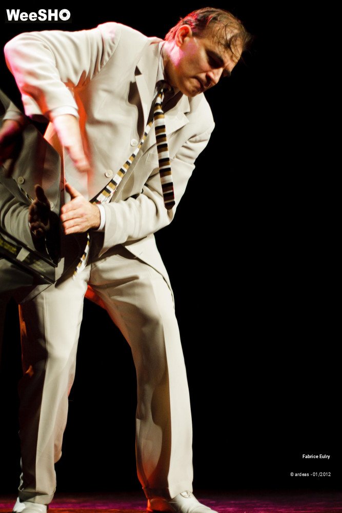 29/33 photos du spectacle Fabrice Eulry et son piano fou