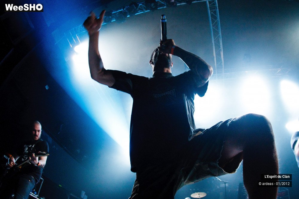 17/25 photos du spectacle L'esprit du Clan