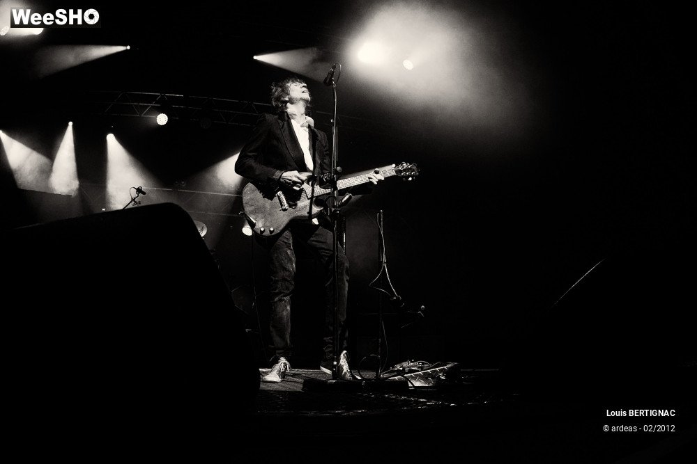 8/44 photos du spectacle Bertignac : Grizzly Tour