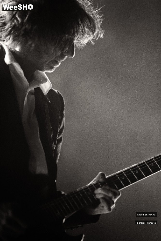 38/44 photos du spectacle Bertignac : Grizzly Tour