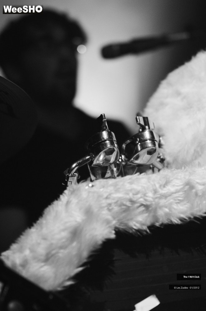 14/14 photos du spectacle The 1969 Club