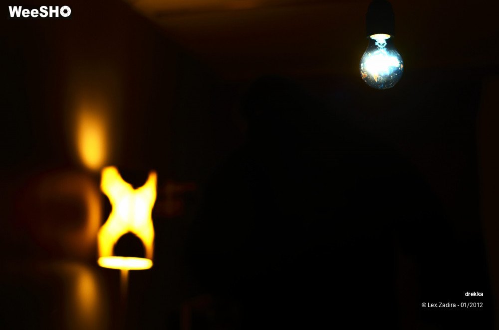 13/20 photos du spectacle Canid + Drekka