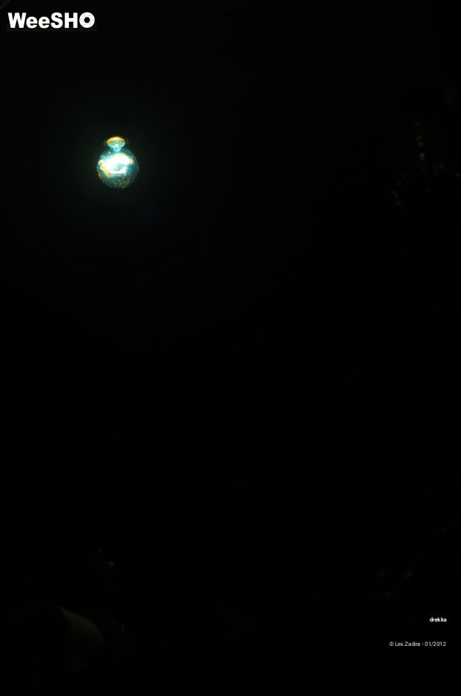 20/20 photos du spectacle Canid + Drekka