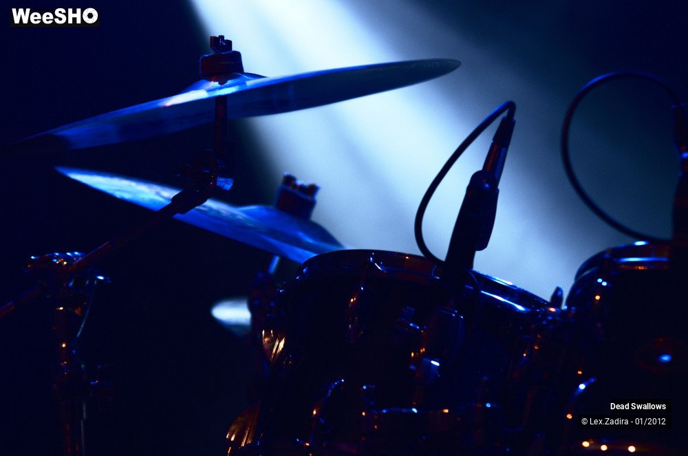 2/27 photos du spectacle Dead Swallows