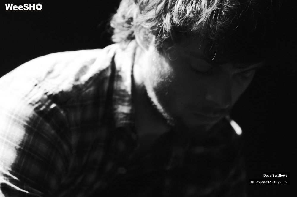 7/27 photos du spectacle Dead Swallows