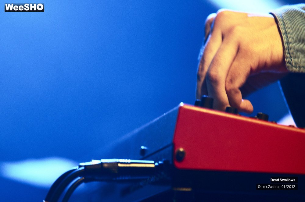 19/27 photos du spectacle Dead Swallows