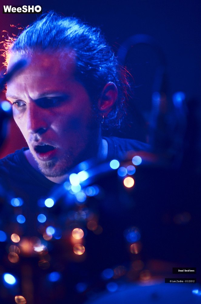 26/27 photos du spectacle Dead Swallows