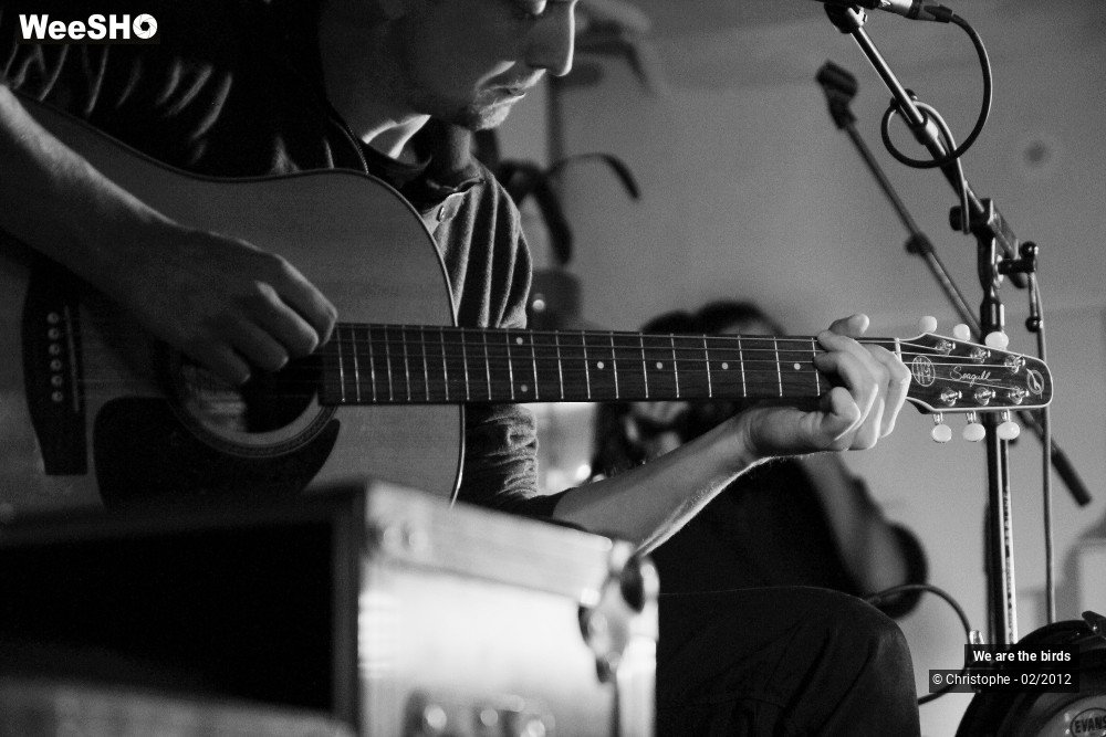 5/31 photos du spectacle We are the Birds