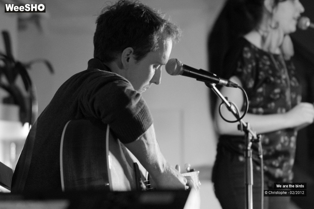 17/31 photos du spectacle We are the Birds