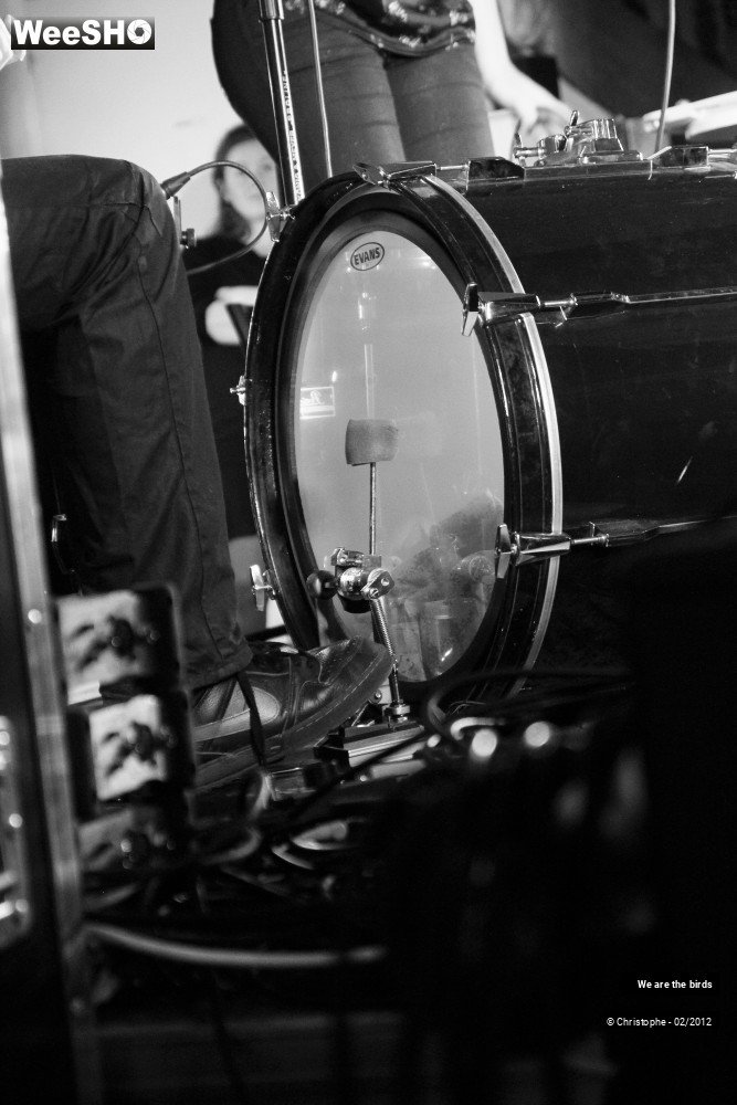 24/31 photos du spectacle We are the Birds