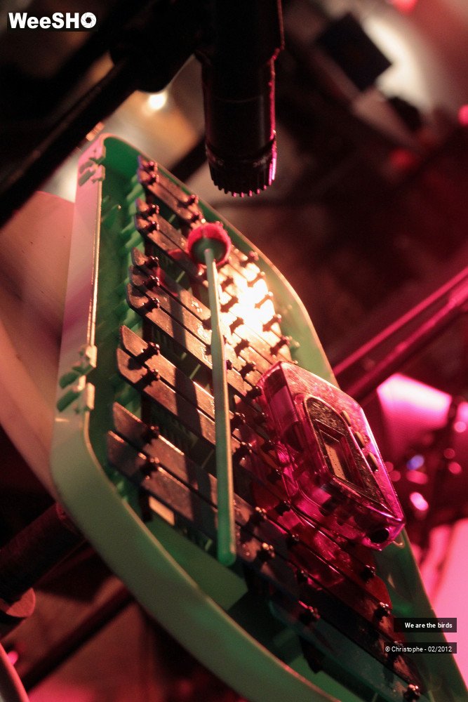 26/31 photos du spectacle We are the Birds