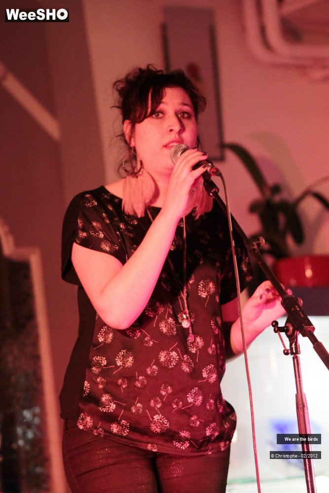 31/31 photos du spectacle We are the Birds