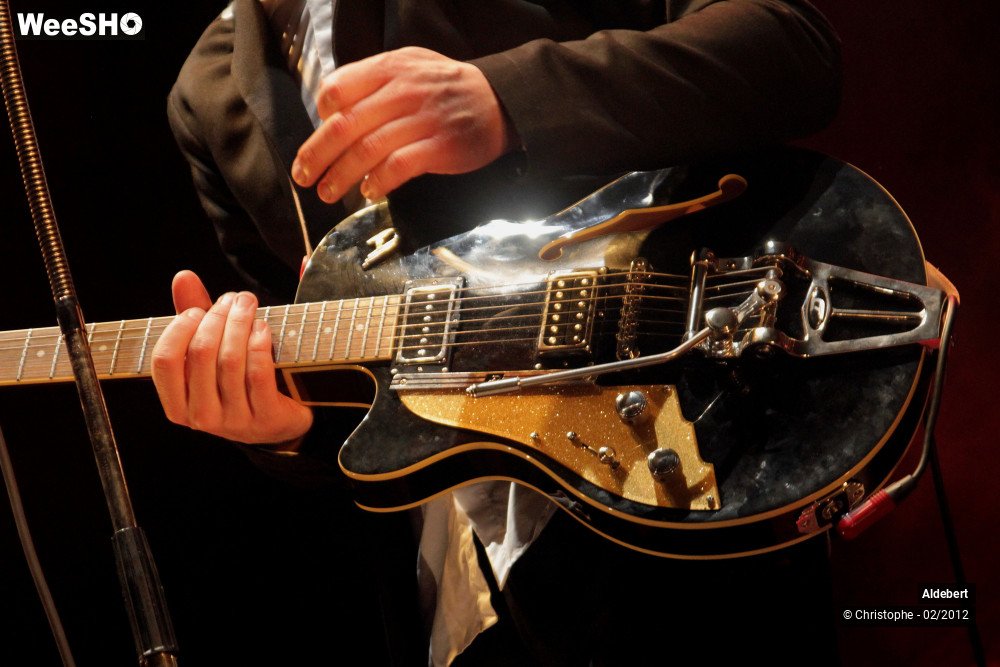 16/50 photos du spectacle Aldebert