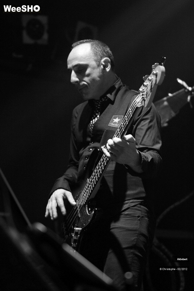 25/50 photos du spectacle Aldebert