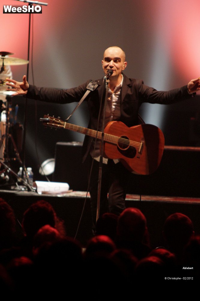 28/50 photos du spectacle Aldebert