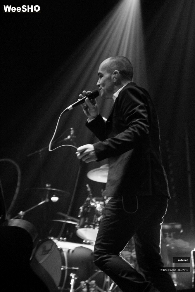 36/50 photos du spectacle Aldebert