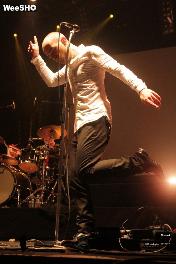 41/50 photos du spectacle Aldebert