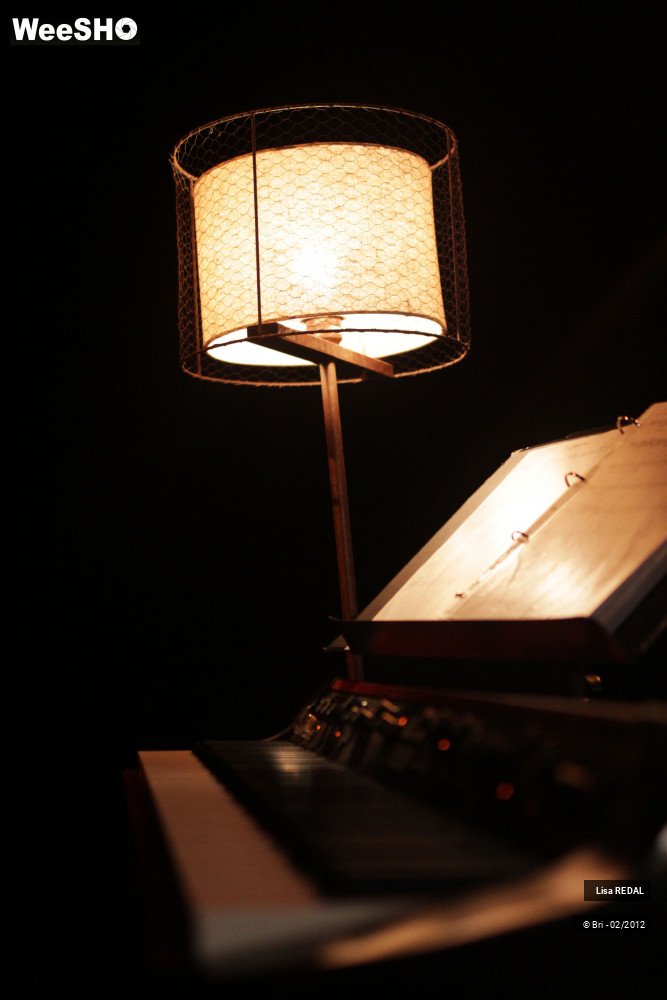 34/45 photos du spectacle Lisa REDAL