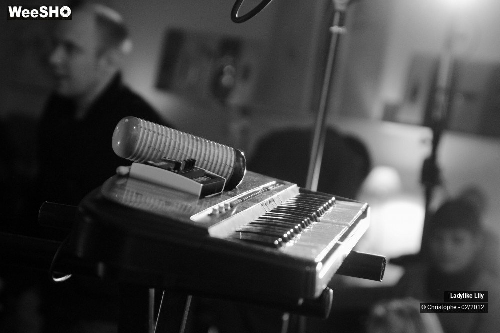 6/43 photos du spectacle Ladylike Lily