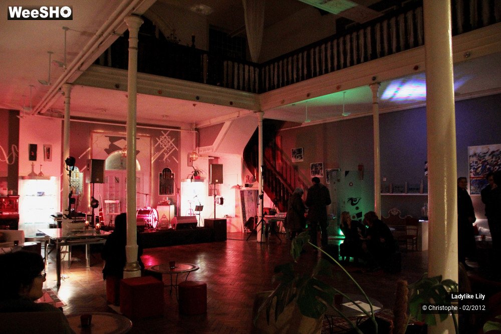 14/43 photos du spectacle Ladylike Lily