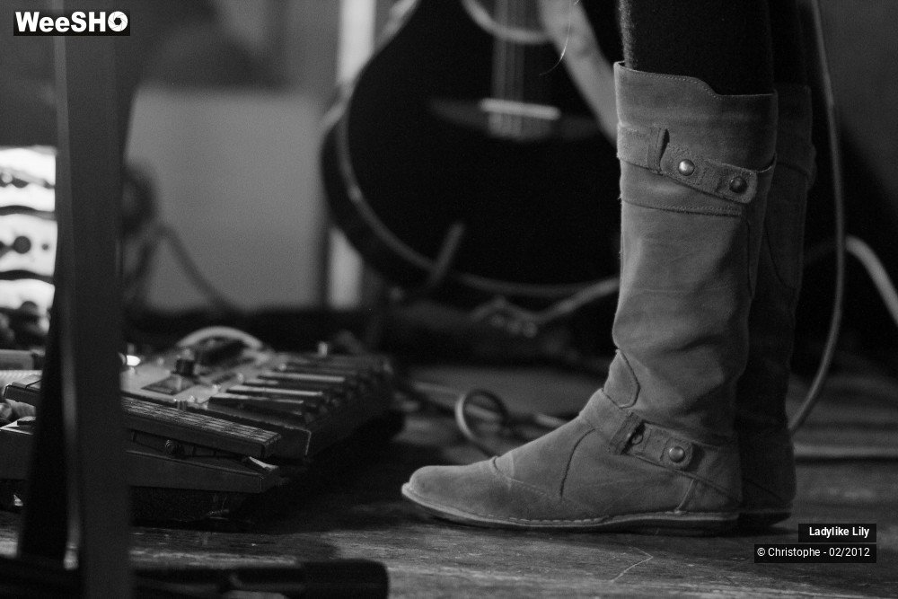 15/43 photos du spectacle Ladylike Lily