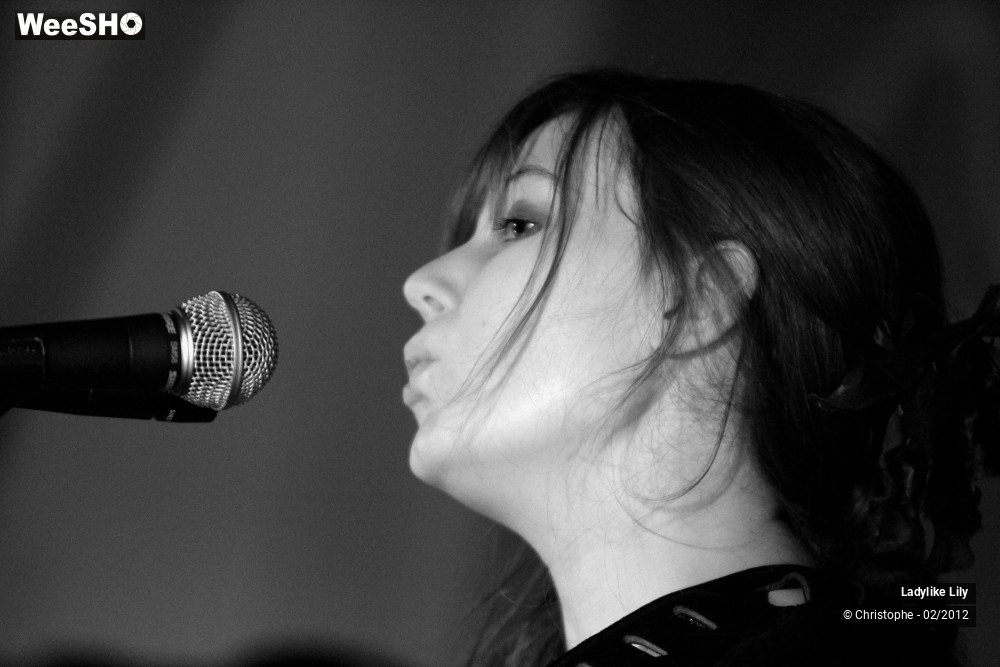 16/43 photos du spectacle Ladylike Lily