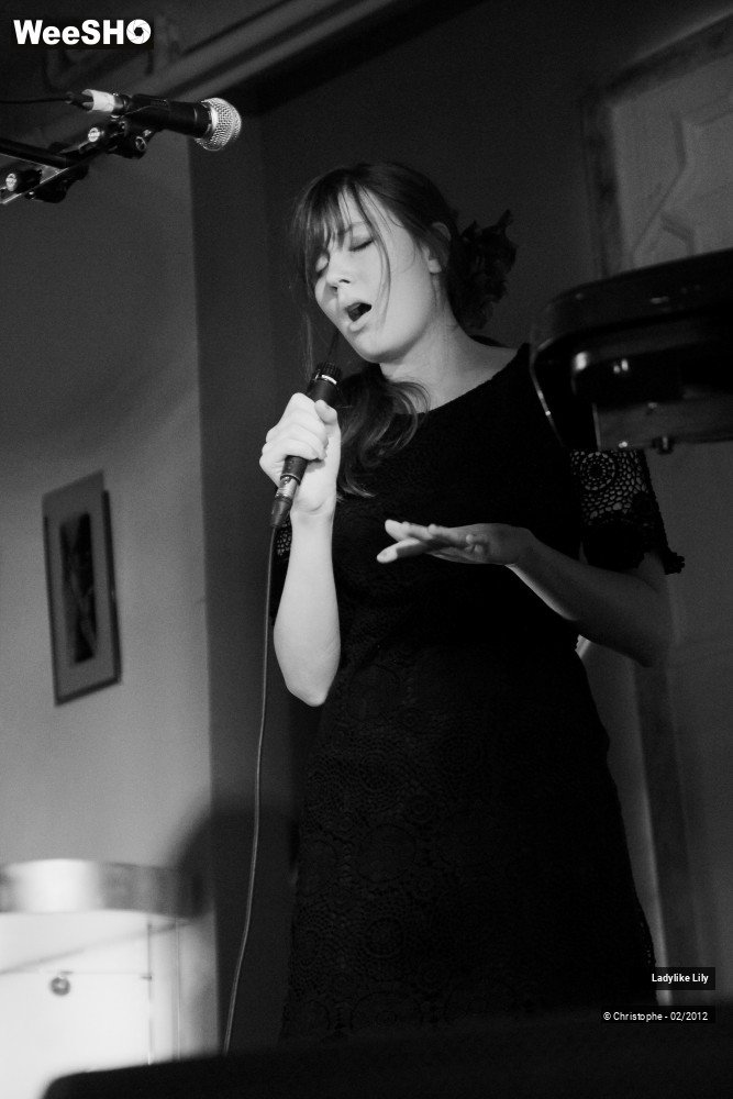 27/43 photos du spectacle Ladylike Lily