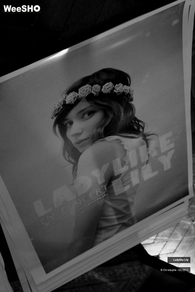 30/43 photos du spectacle Ladylike Lily